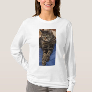 Camiseta Regal Dave Long Sleeve, T-shirt feminina