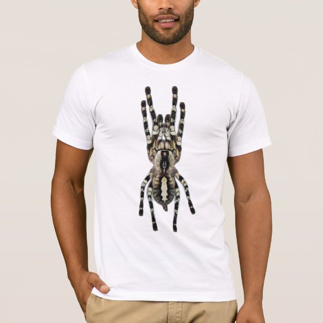 Camiseta Regalis de Poecilotheria (Ornamental indiano) (Frente)