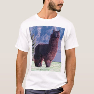 Camiseta regra das alpacas