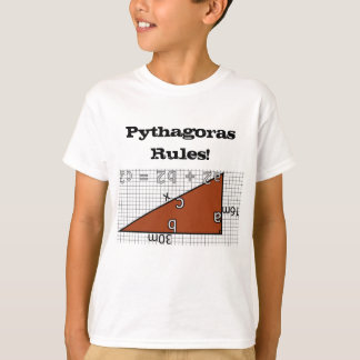 CAMISETA REGRAS DE PITAGORAS!