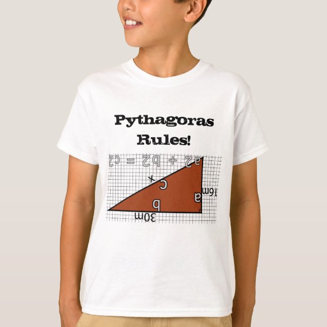 CAMISETA REGRAS DE PITAGORAS! (Frente)