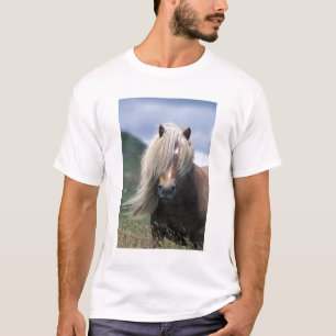Camiseta Reino Unido, Escócia, Ilhas Shetland, pônei Shetla