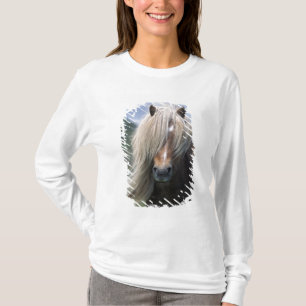 Camiseta Reino Unido, Escócia, Ilhas Shetland, pônei Shetla