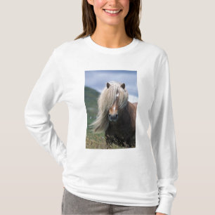 Camiseta Reino Unido, Escócia, ilhas Shetland, pônei Shetla