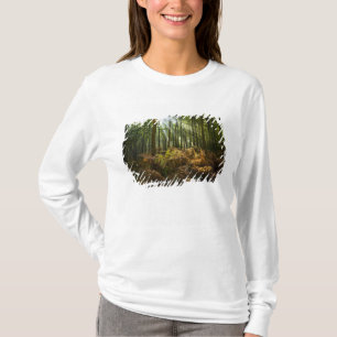 Camiseta Reino Unido, Inglaterra. Raios de sol fluindo atra