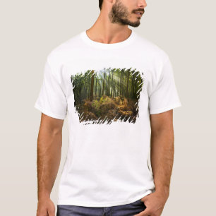 Camiseta Reino Unido, Inglaterra. Raios de sol fluindo atra