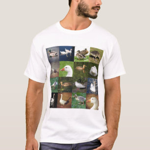 Camiseta Remendo de Foto Quadrado - Pássaros