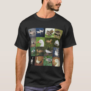 Camiseta Remendo Fotográfico Quadrado - Aves