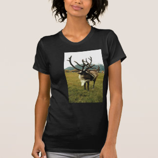 Camiseta Rena #01
