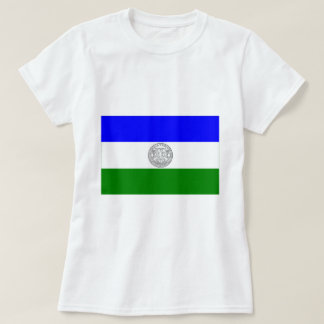 Camiseta República da bandeira de Jämtland (não oficial)