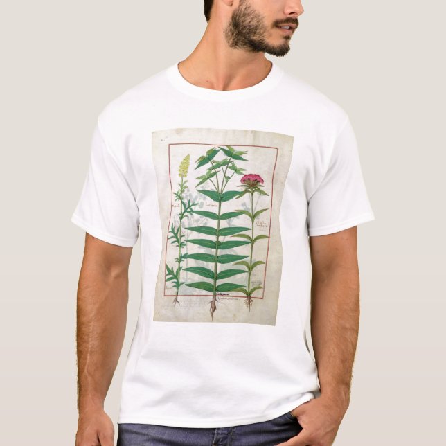 Camiseta Reseda, eufórbio e cravo-da-índia (Frente)