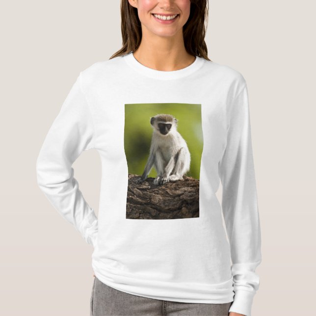 Camiseta Reserva de Jogo Samburu, Quénia, Macaco Vervet, (Frente)