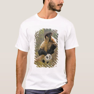 Camiseta Reserva de Pandas Wolong, China, 2 1/2 anos de ida