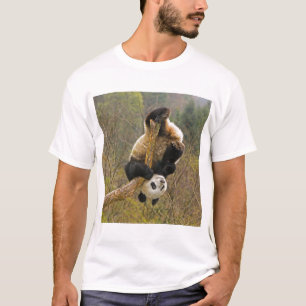 Camiseta Reserva de Pandas Wolong, China, 2 1/2 anos de ida