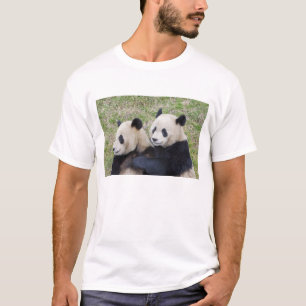Camiseta Reserva de Wolong, China, Panda gigante abraçando