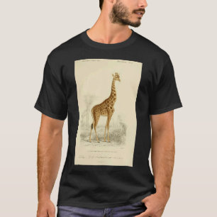 Camiseta Resistir Arte Nova Inspirada no Feminismo Mucha