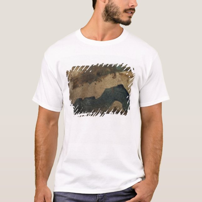 Camiseta Respublica, Aquila Gentium (Frente)