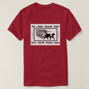 Camiseta Retorno da vacina contra o Núcleo de Emergência 