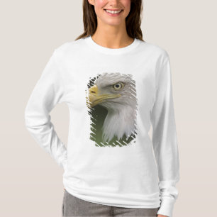 Camiseta Retrato da Águia Adulta Cálida, Haliaeetus