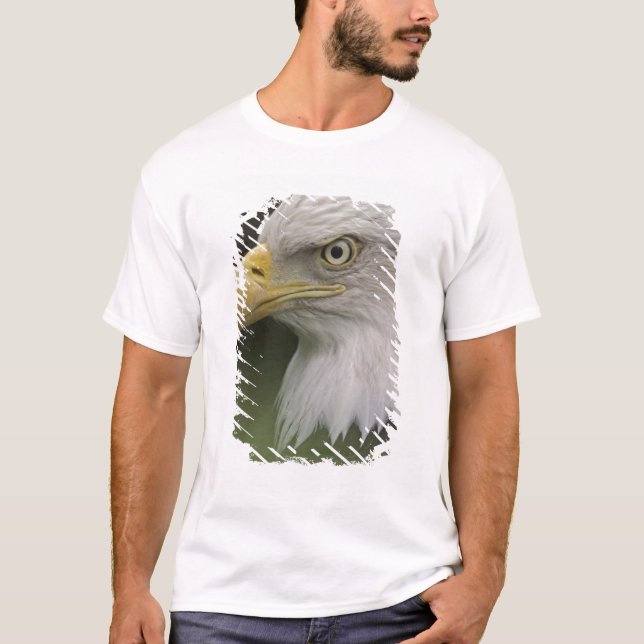 Camiseta Retrato da Águia Adulta Cálida, Haliaeetus (Frente)