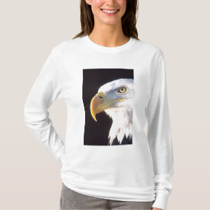 Camiseta Retrato de Águia Americana, Haliaeetus leucocephal