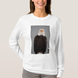 Camiseta Retrato de Águia Careca na Neve, Haliaeetus