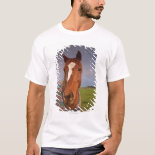 Camiseta Retrato de um cavalo com um arco-íris no céu
