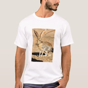 Camiseta Retrato do lebre-pronghorn, Arizona