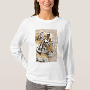 Camiseta Retrato do Tigre-de-bengala-real, Ranthambhor