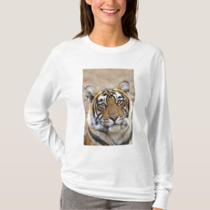 Camiseta Retrato do Tigre-de-bengala-real, Ranthambhor