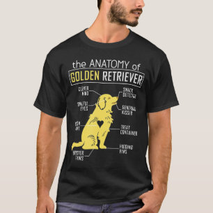 Camiseta Retriever Ouro de Anatomia
