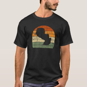 Camiseta Retro Paraguai Mapeia Independência Sunset