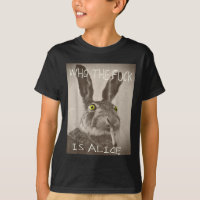 Retro Quem F_ck É O Coelho Engraçado De Alice