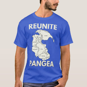 CAMISETA REUNITE PANGEA 2