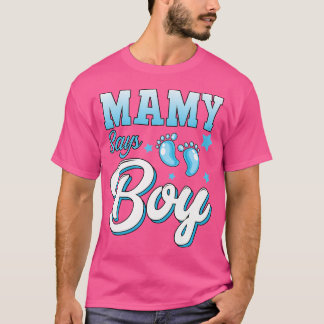 Camiseta Revolução de Gênero Mamãe Diz Menino Correspondend
