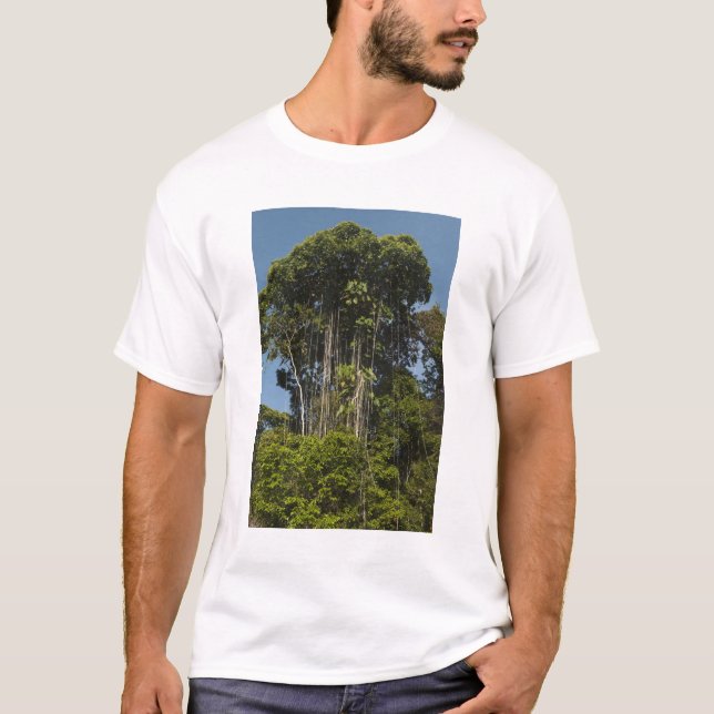 Camiseta Rewa borda do rio Rainforest Guiana (Frente)
