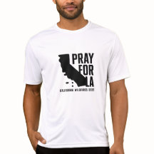 Reze pelo incêndio selvagem de LA California 2025