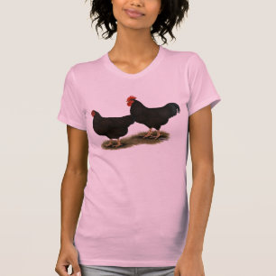Camiseta Rhode Island Red Bantams