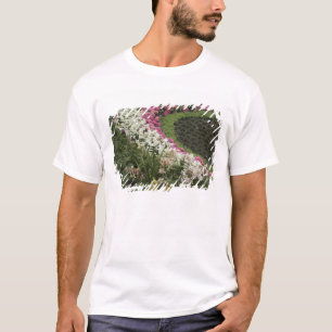 Camiseta Rhododendron (Rhododendron catawbiense) Charneca