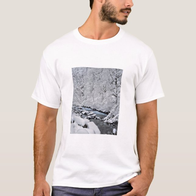 Camiseta Ribeirão branco nevado cênico, Oregon (Frente)