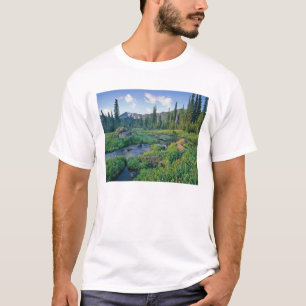 Camiseta Ribeirão Picnic na Jewel Basin de Swan