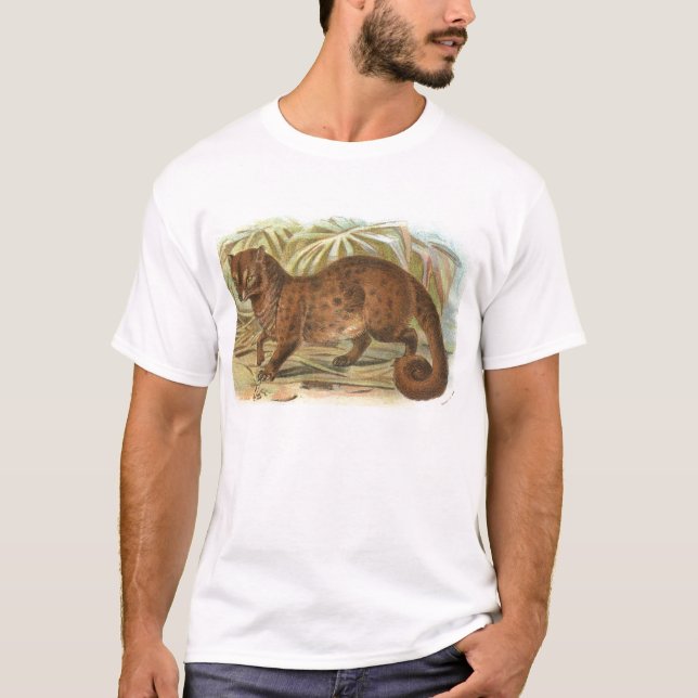 Camiseta Richard Lydekker - Civet de palma comum (Frente)