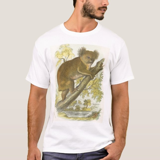 Camiseta Richard Lydekker - Koala (Frente)