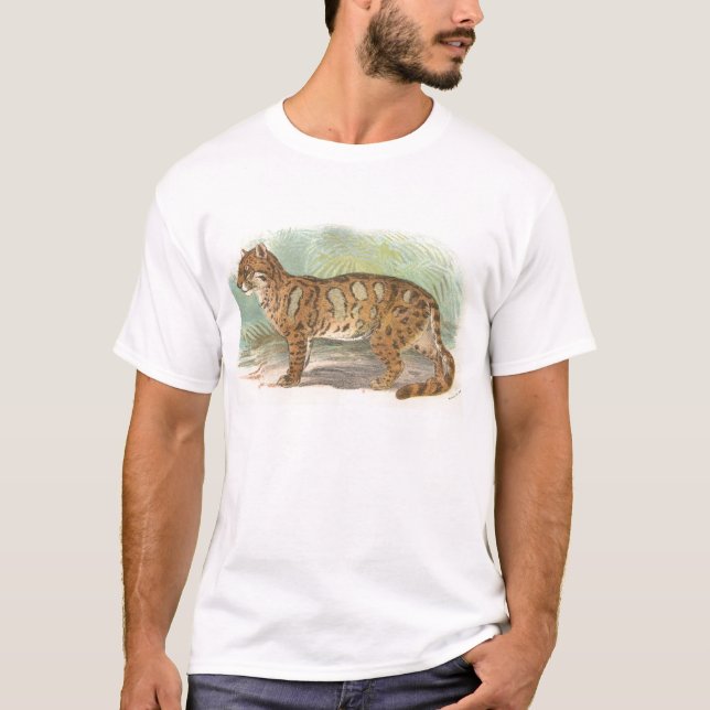 Camiseta Richard Lydekker - leopardo nublado (Frente)