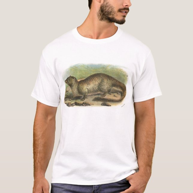 Camiseta Richard Lydekker - mangusto egípcio (Frente)