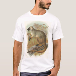 Camiseta Richard Lydekker - Queensland Tree-Kangaroo