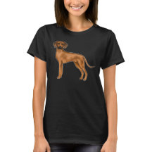 Ridgeback Cão-Leão-Africano-Marrom-Curto-Justo