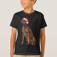 Ridgeback Ridgeback Natal Luzes Xmas Cão Amor