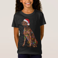 Ridgeback Ridgeback Natal Luzes Xmas Cão Amor