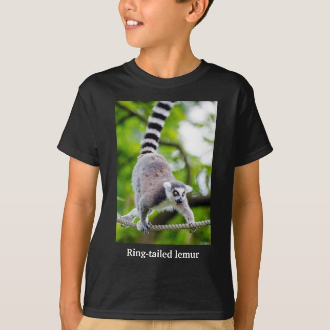 Camiseta Ring-tailed lemur (Frente)